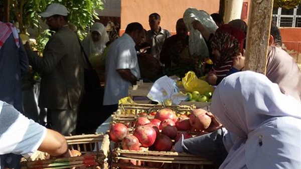 مركز الخارجة يواصل