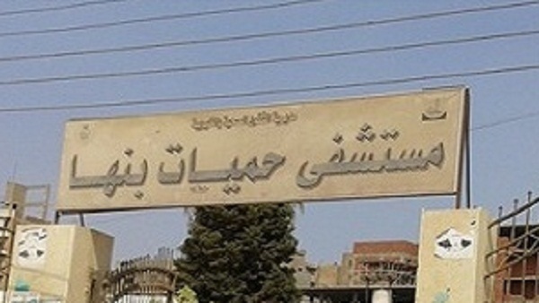 مستشفى الحميات ببنها