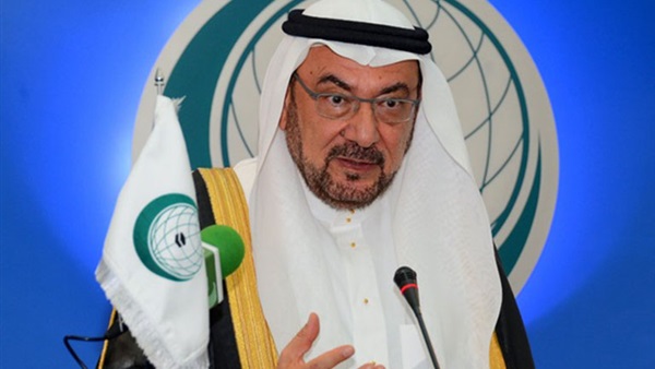 الأمين العام لمنظمة