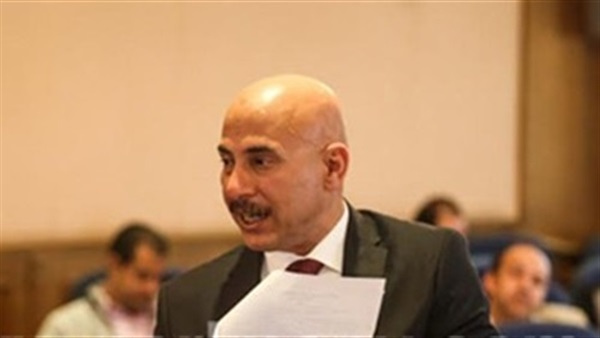 النائب أيمن عبد الله،
