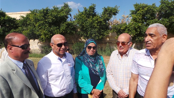 أحزاب الإسكندرية