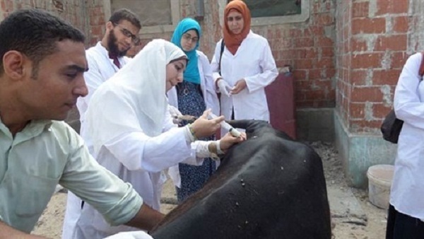 قوافل بيطرية