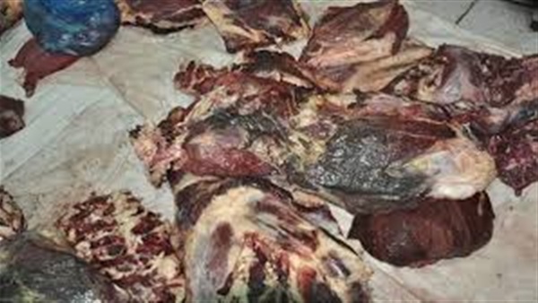 ضبط طن لحوم عفنة