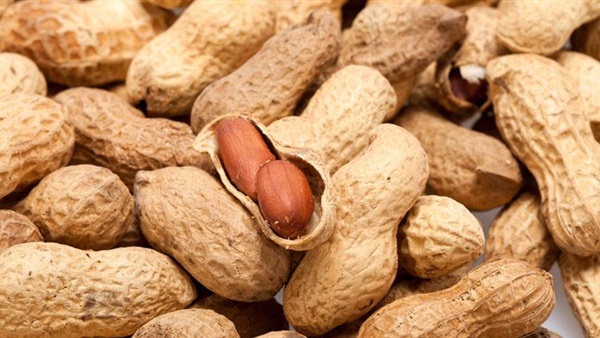 الفول السوداني