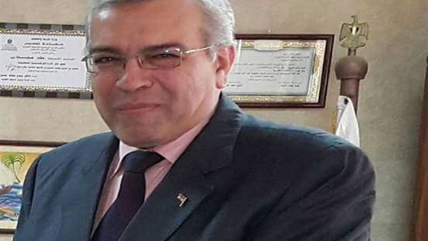طه عجلان، وكيل وزارة