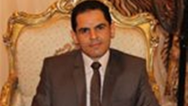 الدكتور محمد مكاوى