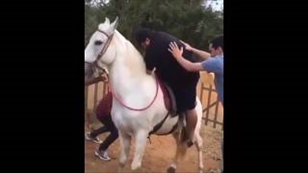 عقاب حصان لرجل بدين