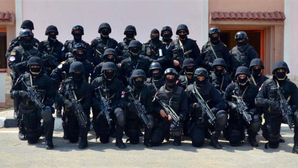 الشرطة المصرية