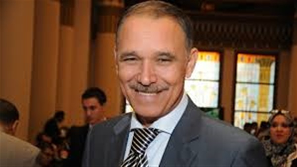 النائب رضا البلتاجي