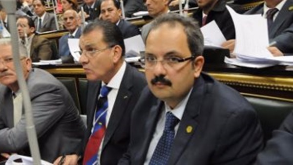 المهندس هاني نجيب