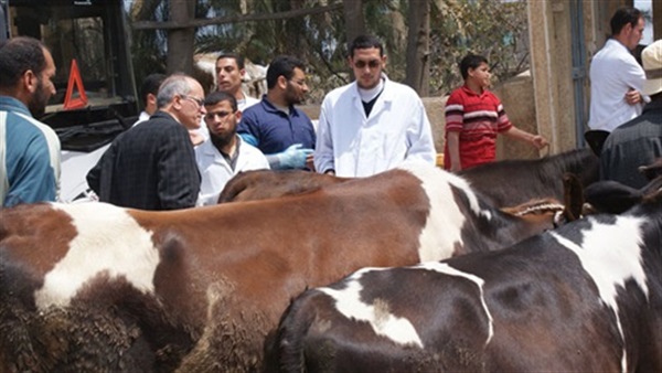 مديرية الطب البيطري