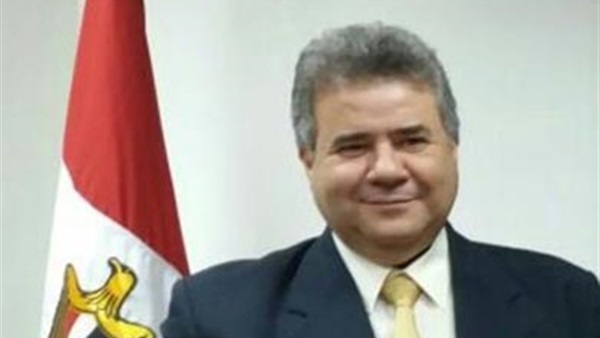الدكتور السيد القاضي،