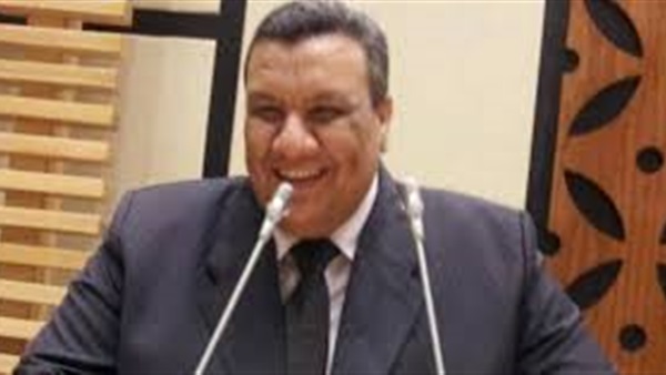مصطفى سالم، عضو مجلس