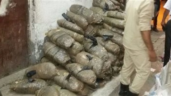 مخدر الحشيش
