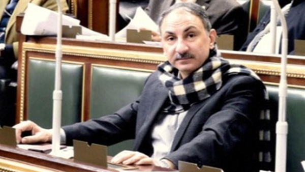 النائب مجدي ملك