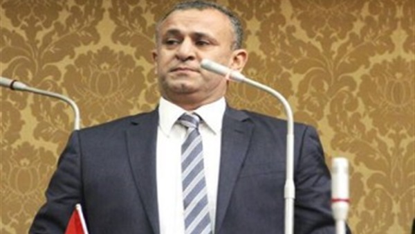 النائب فوزي الشرباصي،