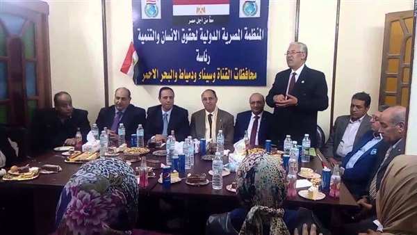 المؤسسة المصرية الدولية
