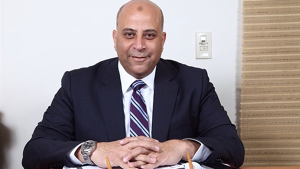 النائب، عمرو غلاب