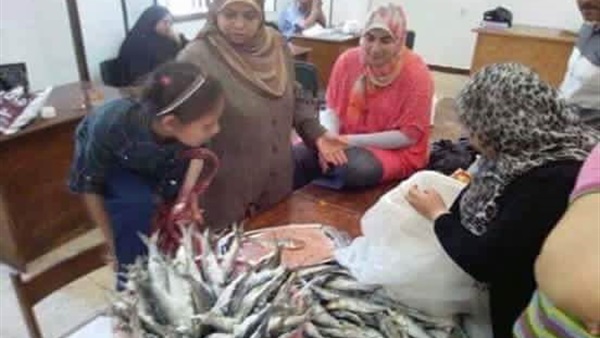 مهزلة من قبل موظفي