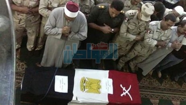 المواطن