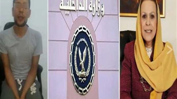 قضية نيفين لطفي
