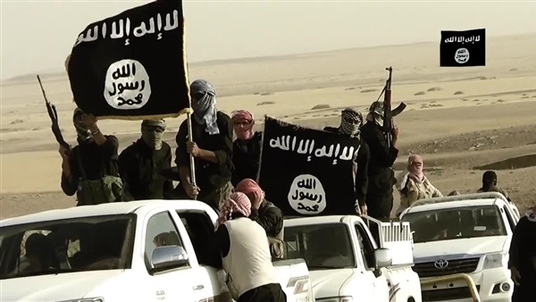 تنظيم ولاية سيناء