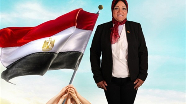 مي محمود، عضو مجلس