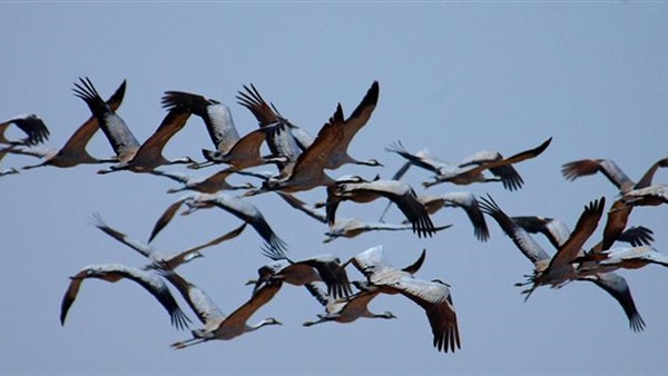 صورة ارشيفية
