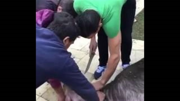 عصام الحضري