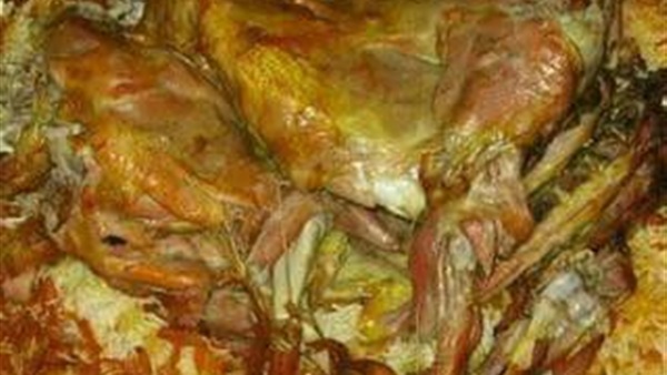 وجبة كلاب