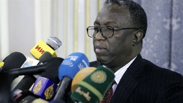 نائب الرئيس السودانى،