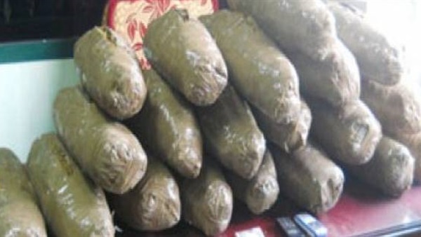 مخدر الحشيش