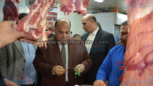 حسام الدين إمام،