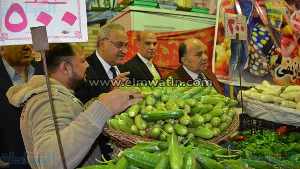 محافظ الدقهلية، حسام