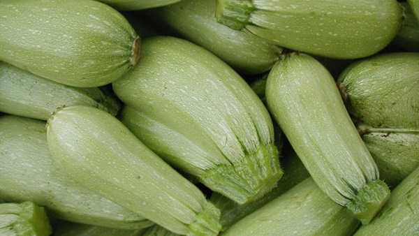 كوسة