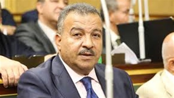 الدكتور محمد العماري