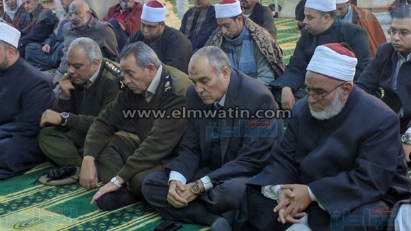 الدكتور فرحات السبكى