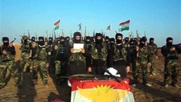 صقور حرية كردستان