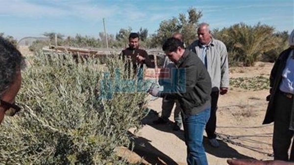 قوافل جامعة القناة
