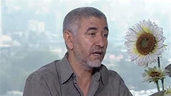 الدكتور نبيل القط،