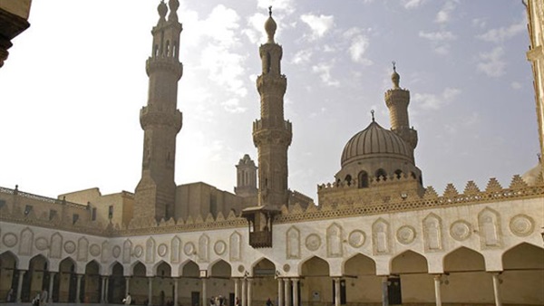 ارشيفية