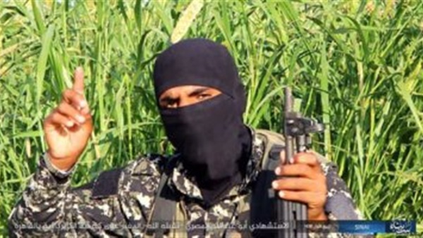 الصورة المتداولة