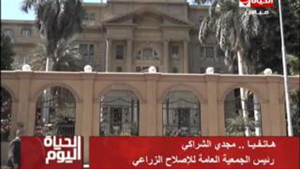 المواطن