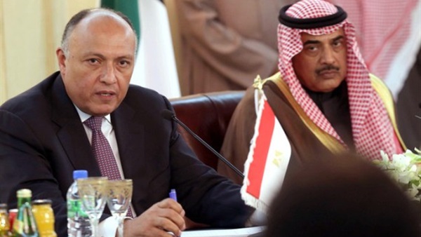 وزير الخارجية سامح
