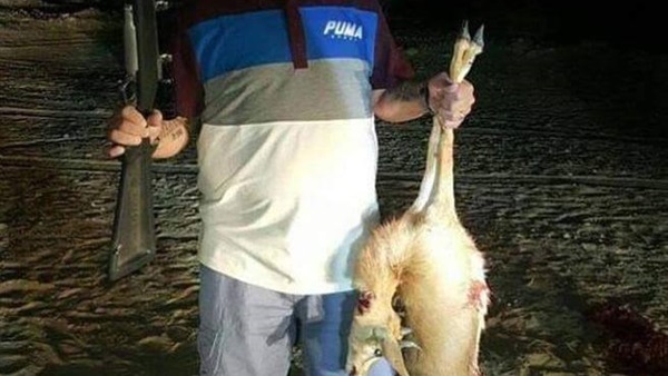 مارادونا