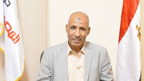 عامر الحناوي