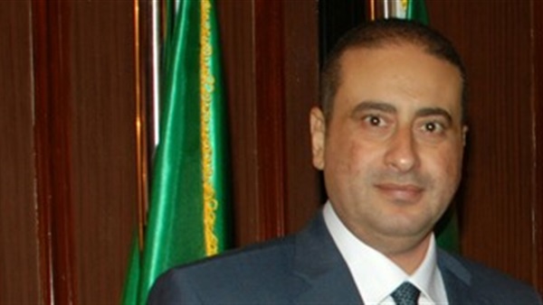 وائل شلبى