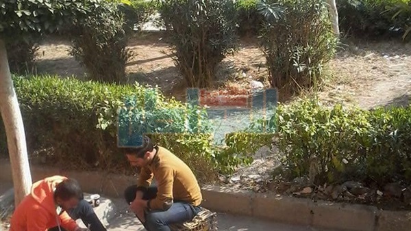 المواطن