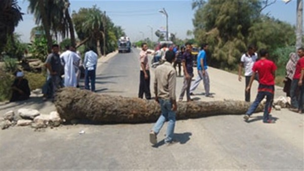 أرشيفية