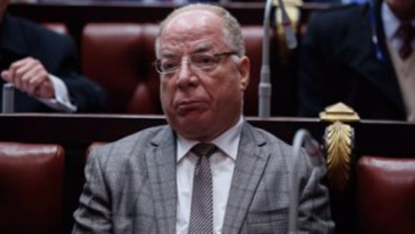 وزير الثقافة حلمي